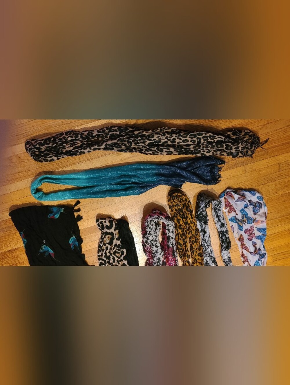 Assorted Women's Fashion Scarves - Teal, Leopard, Butterfly Prints